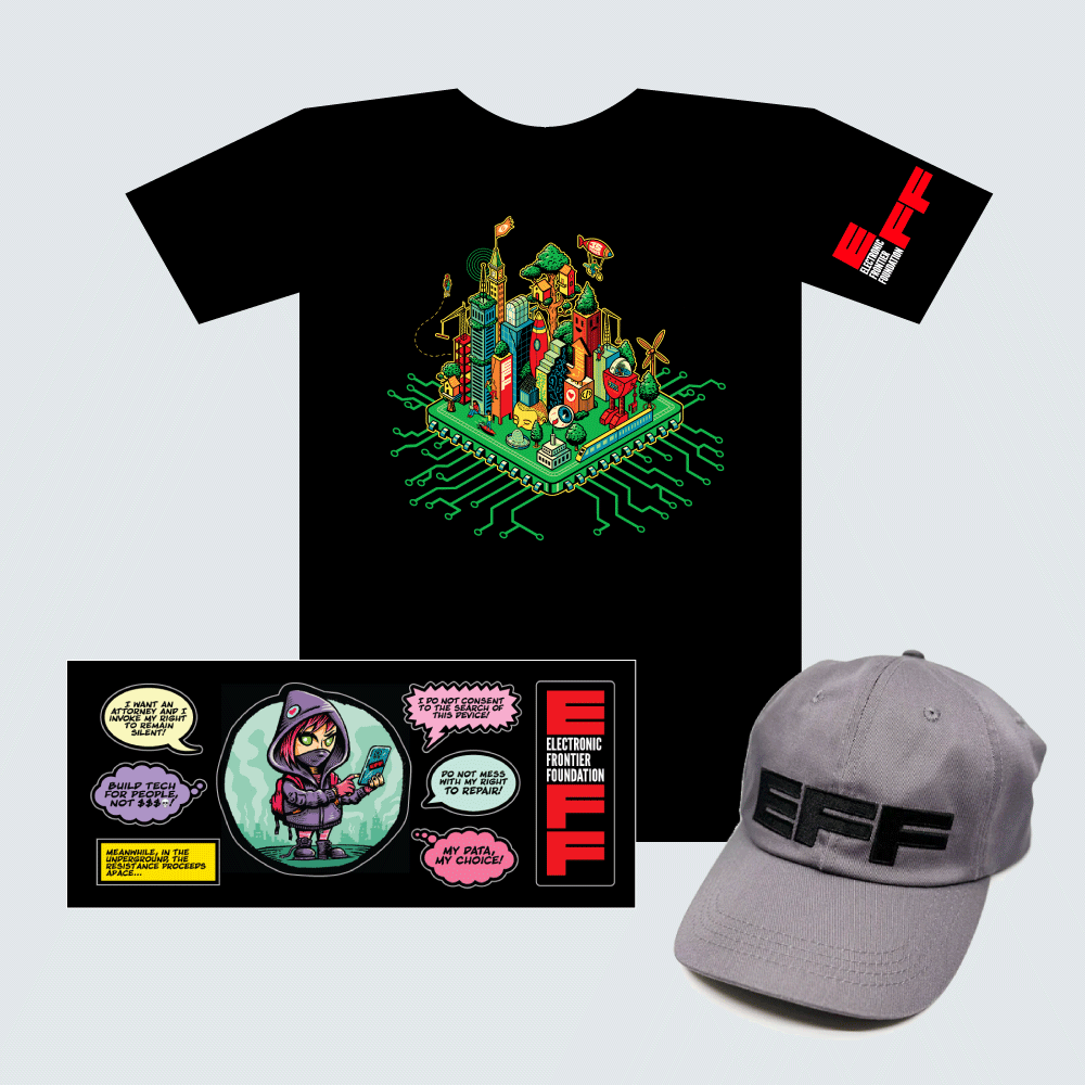 Donor Combo: EFF35 Cityscape T-Shirt, Sticker Sheet, & Grey Hat